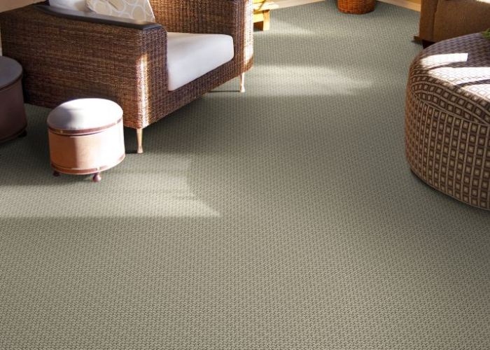 textured beige carpet in a sitting area